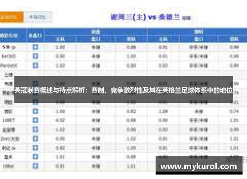 英冠联赛概述与特点解析：赛制、竞争激烈性及其在英格兰足球体系中的地位